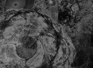 (提灯与地下城那些宠物值得培养)揭秘提灯与地下城最强三宠物王者之争