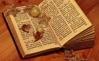 (暴走战姬手游)暴走战姬600代金券阵容大揭秘,打造最强作战阵容 (暴走战姬手游)暴走战姬600代金券阵容大揭秘,打造最强作战阵容