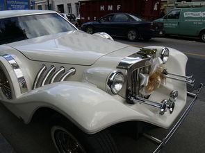 (猴哥去哪了)猴哥去哪儿APP如何进行更新步骤详解，轻松获取最新功能与体验