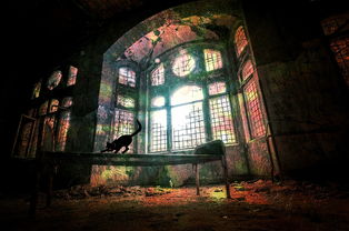 (帕斯卡契约 流程攻略)帕斯卡契约攻略:详细解读攻略,助您顺利通关帕斯卡契约游戏 (帕斯卡契约 流程攻略)帕斯卡契约攻略:详细解读攻略,助您顺利通关帕斯卡契约游戏