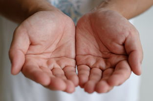 探索手相命运线的奥秘：如何通过手掌读懂你的人生轨迹与未来发展潜力