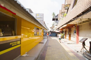 佩皮摩登商店全部解锁小镇,发现隐藏在城市中的优质购物新去处 佩皮摩登商店全部解锁小镇,发现隐藏在城市中的优质购物新去处