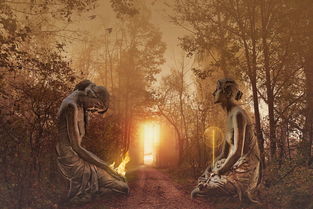 (探寻梦幻仙境手游官网,前往奇幻世界的大门怎么进)探寻梦幻仙境手游官网，前往奇幻世界的大门