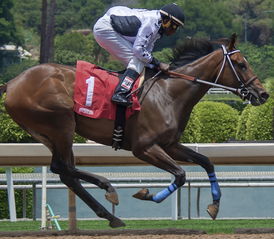 香港内部马料免费资料安卓版|可靠解答解释落实_正式集.5.541 香港内部马料免费资料安卓版|可靠解答解释落实_正式集.5.541