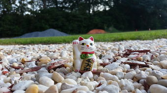 (绿茵体育文化)探索绿茵体育官网，了解全球体育赛事资讯和最新动态!