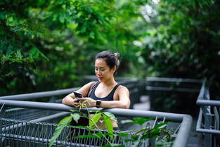 (一笑江湖鼓谱)乐坛新宠：《一笑江湖 (DJ弹鼓版)》引领舞曲风潮