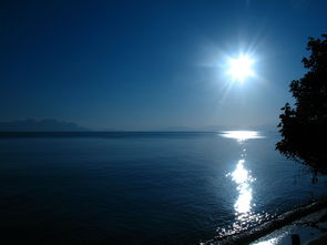 神都降魔卡牌手游:如何利用策略结合角色卡片优势大幅提升胜率? 神都降魔卡牌手游:如何利用策略结合角色卡片优势大幅提升胜率?