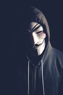 《无限暖暖》官网被黑事件揭露：暖心网站遭遇黑客攻击，用户数据面临泄露风险