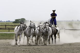 (英格兰骑士)探索格兰骑兵的历史与传承:从古战场到现代文化的影响 (英格兰骑士)探索格兰骑兵的历史与传承:从古战场到现代文化的影响