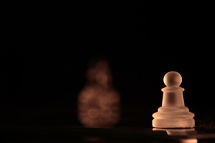 (“单机象棋”)单机版象棋游戏:挑战智力,享受心灵对弈的精神独享 (“单机象棋”)单机版象棋游戏:挑战智力,享受心灵对弈的精神独享