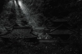 (口袋征服手游怀旧版)重温经典与激情：探索口袋征服怀旧版双龙城的无尽冒险与乐趣