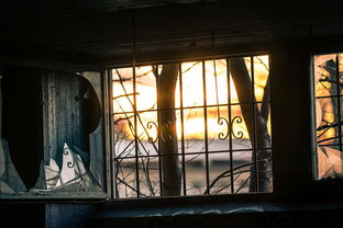 「饥荒新家园」正式上线时间是什么？玩家期待的日期终于揭晓！