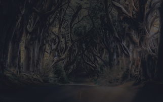 (原始秘密是什么)揭秘原始秘密:探寻人类历史深处的神秘密码和基因起源 (原始秘密是什么)揭秘原始秘密:探寻人类历史深处的神秘密码和基因起源