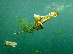 (勇者和冒险者的区别)勇士与冒险者:零氪职业推荐,适合勇敢的冒险者们展开新旅程 (勇者和冒险者的区别)勇士与冒险者:零氪职业推荐,适合勇敢的冒险者们展开新旅程