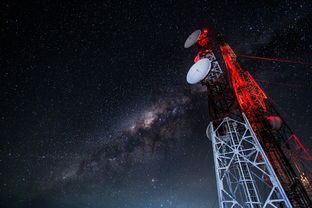 (喵星游戏平台)2023喵星族游戏攻略大全：最新版本全新攻略技巧分享