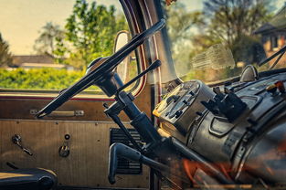 以角色魅力和剧情走向探讨，《黑猫奇闻社》男主人气排名变动情况- 详述热门角色粉丝情绪反馈