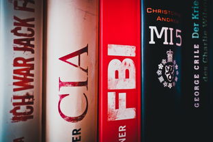 (重装机兵2完整流程图文攻略)重装机兵2攻略图文详解:新手必看,轻松掌握游戏技巧与秘诀 (重装机兵2完整流程图文攻略)重装机兵2攻略图文详解:新手必看,轻松掌握游戏技巧与秘诀