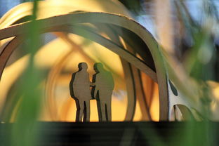 (圣树唤歌最强阵容平民)揭秘圣树唤歌最强阵容推荐,助你轻松通关 (圣树唤歌最强阵容平民)揭秘圣树唤歌最强阵容推荐,助你轻松通关