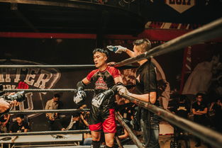 兰岛物语结局全攻略:揭秘所有结局与隐藏要素,助你完美体验游戏人生 兰岛物语结局全攻略:揭秘所有结局与隐藏要素,助你完美体验游戏人生