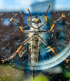 挂挂三国最强武将搭配推荐:助你轻松征战沙场,称霸三国的终极武将组合 挂挂三国最强武将搭配推荐:助你轻松征战沙场,称霸三国的终极武将组合