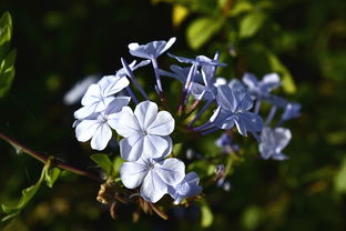 (无尽之战下载ios教程)无尽之战ios下载安装，体验热血激战，迎接挑战