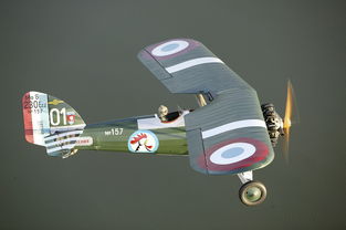 (2021神位纷争角色排行)神位纷争五星角色强度排行:谁才是最强大的存在? (2021神位纷争角色排行)神位纷争五星角色强度排行:谁才是最强大的存在?