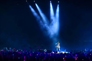 (东瀛斩龙传是谁写的)东瀛斩龙传：揭开神秘武林背后的传奇故事与壮丽冒险