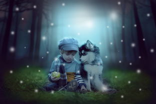 (少年驯龙记的激活码是多少?)少年驯龙记奇迹：勇敢少年与神秘龙族共同书写的奇幻冒险传奇