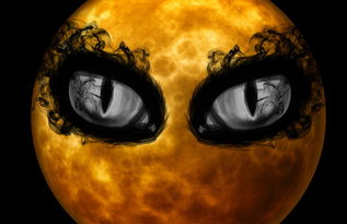 在蛋仔派对逃出惊魂夜中，探寻隐藏在欢乐背后的恐怖秘密与惊险挑战