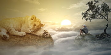 (隐秘的原罪关系线的梳理)揭秘隐秘的原罪:红茶对应的凶手是谁? (隐秘的原罪关系线的梳理)揭秘隐秘的原罪:红茶对应的凶手是谁?