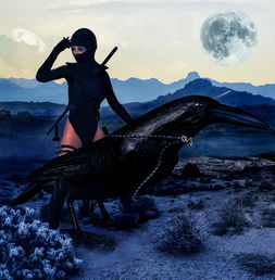 (揭秘璀璨星途为什么突然下架,原因究竟是什么呢)揭秘璀璨星途为什么突然下架，原因究竟是什么？