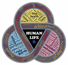 (魔塔24层无限金币版无限经验)探秘魔塔24层无敌版：全新策略与无限挑战的完美结合