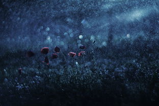 (枪火地牢兑换码)详解枪火地牢：最实用的升级卷轴刷取方法与效率提升攻略