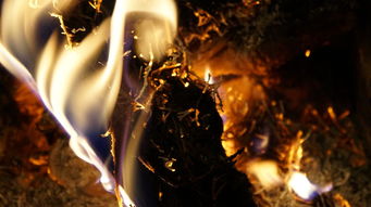 探讨纯靠打怪掉装备游戏设计理念：以《暗黑破坏神》为例的全面解析