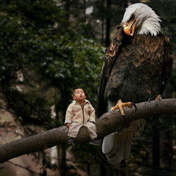 (木灵宝贝百度百科)木灵宝贝第一季：探索神秘森林，驯养精灵伙伴的奇幻冒险之旅