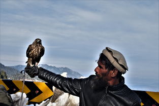 孤岛惊魂2中文版：探索狂野世界，体验紧张刺激的生存冒险之旅！