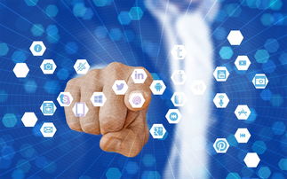 网络疯传'代号七海'关闭，实情究竟如何？揭秘其背后的运营真相