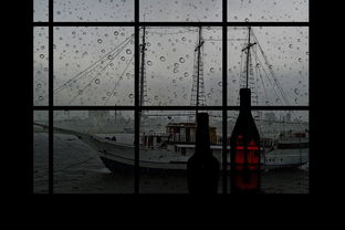 深度解析口袋宠物世界：全面掌握顶级菜谱制作技巧，打造绝世美食与萌宠共享的世界