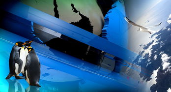 (世界大战 1914)绿色先锋的勇士：详解世界大战1914中的环保运动与独特影响