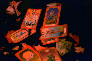 (物质与魔法手游)物质与魔法新手攻略：探索资源收集与法术应用最实用准则