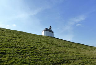 体验农场生活乐趣，深度解析迷你像素农场中文版的吸引力与玩法技巧