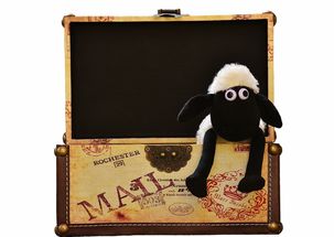 浣熊不高兴凯涅斯：当小动物遇上经济学家，幽默背后的深意探讨