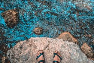 (方舟生存进化!)方舟生存进化mod:挑战无尽的生存冒险,探索未知世界的变革之旅 (方舟生存进化!)方舟生存进化mod:挑战无尽的生存冒险,探索未知世界的变革之旅