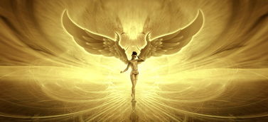 (轮回道是什么意思)轮回道一般能带什么道?探寻轮回道所蕴含的神秘力量 (轮回道是什么意思)轮回道一般能带什么道?探寻轮回道所蕴含的神秘力量