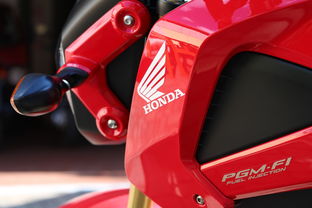 (赫米特的纪念猎枪)探寻丛林猎人赫米特的神秘原型人物，重返大自然的守护者