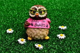 探讨神话传说中的飞龙:为何我们再也看不见不知疲倦的飞龙,它们消失的背后原因 探讨神话传说中的飞龙:为何我们再也看不见不知疲倦的飞龙,它们消失的背后原因