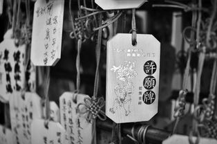 因技术原因被迫下架,玩家怀念的英雄爱三国:停运后市场反应及再度上线的可能性探讨 因技术原因被迫下架,玩家怀念的英雄爱三国:停运后市场反应及再度上线的可能性探讨