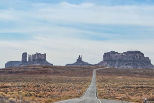 推荐阵容揭秘:《丛林鸟大冒险》果断选择哪些角色才能顺利过关? 推荐阵容揭秘:《丛林鸟大冒险》果断选择哪些角色才能顺利过关?