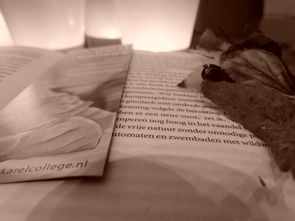 (黄书上的黑道是什么意思)深入解析黑黄书的定义及其在网络文化中的影响与意义