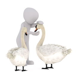 (穿行三国手游)穿行三国游戏中要培养哪些武将才能在战场上取得胜利? (穿行三国手游)穿行三国游戏中要培养哪些武将才能在战场上取得胜利?